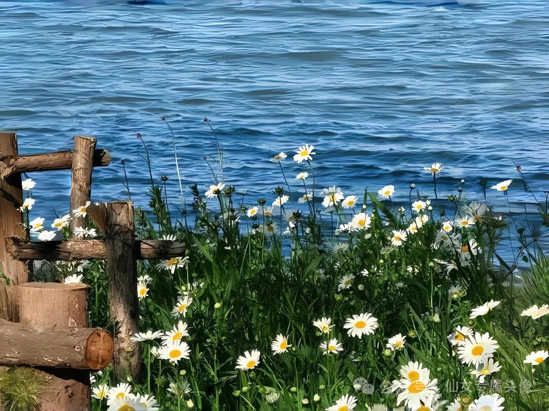 7